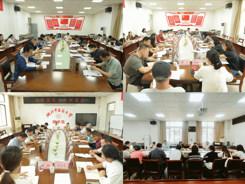 药学院召开贯彻落实《若干举措》系列专题座谈会