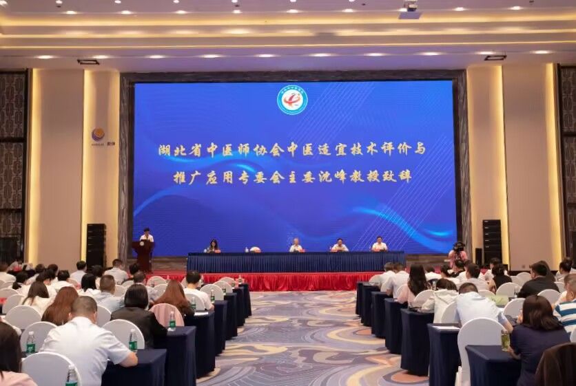 学校承办湖北省中医师协会中医适宜技术评价与推...